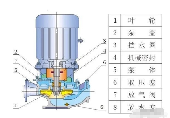 澳门今晚上开什么