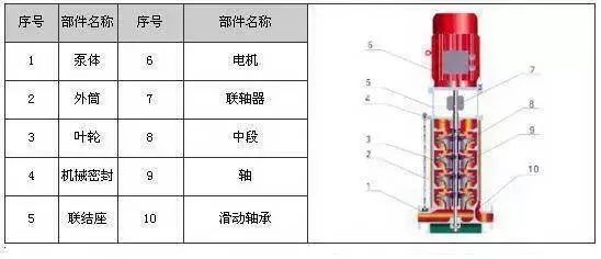 澳门今晚上开什么